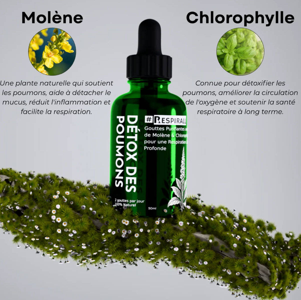MOLENE: PURIFIEZ VOS POUMONS ET RESPIREZ FACILEMENT