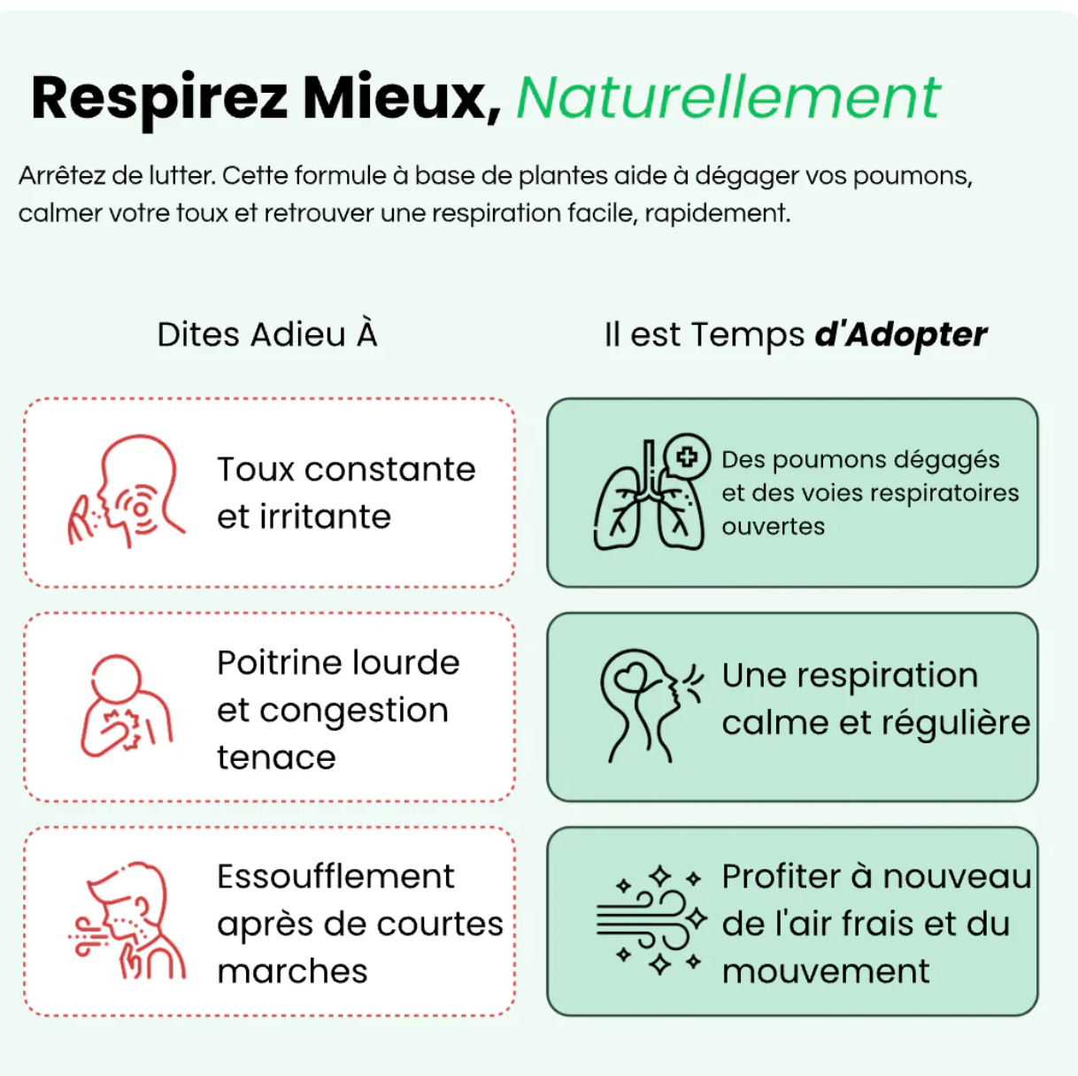 MOLENE: PURIFIEZ VOS POUMONS ET RESPIREZ FACILEMENT